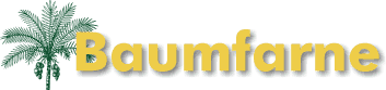 Baumfarne